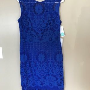 Beaufort Stitch fix dress